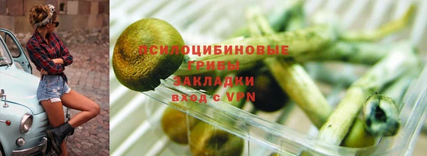 спиды Алексин