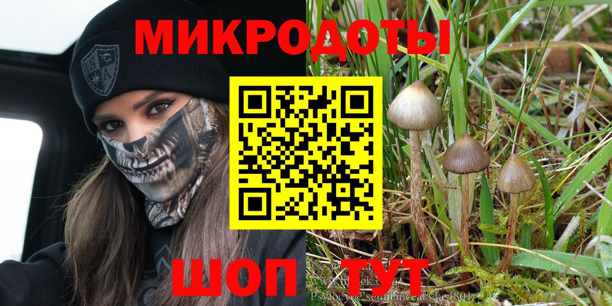 Галлюциногенные грибы Psilocybine cubensis  Вход с VPN  Галлюциногенные грибы Psilocybe  Дзержинск 