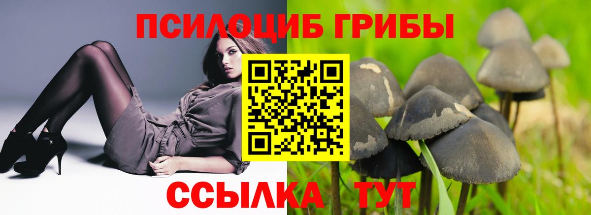 Псилоцибиновые грибы мицелий Дзержинск
